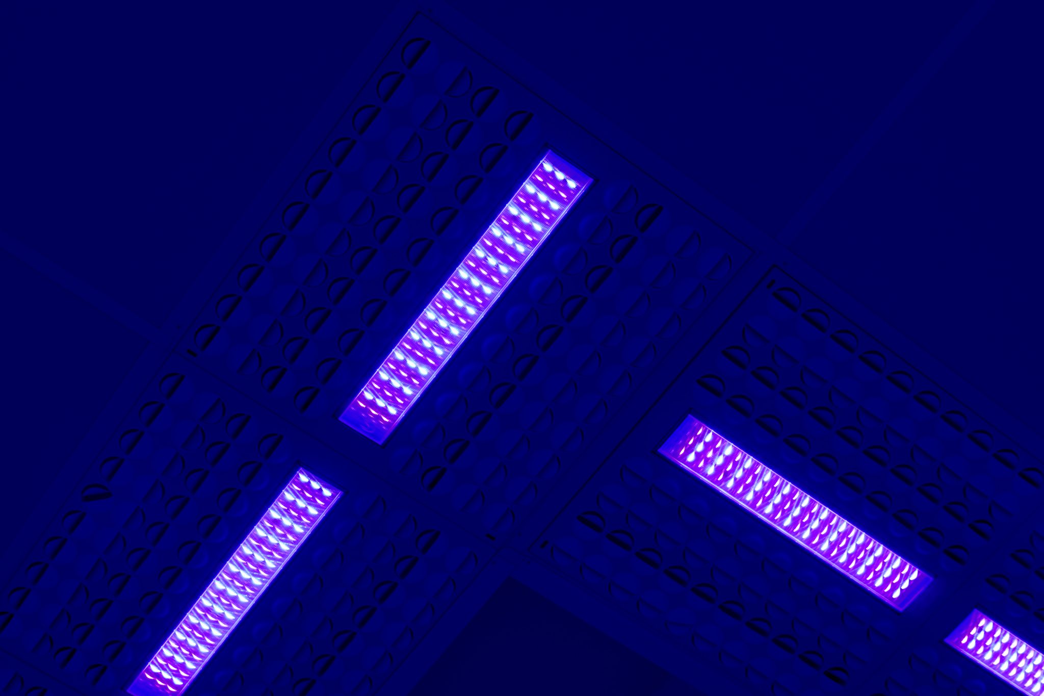 Disinfection blue light - Entropic Limited